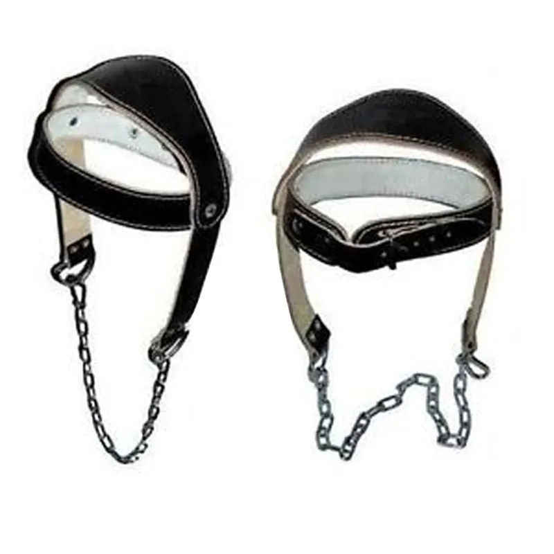 Head Harness variant 4
